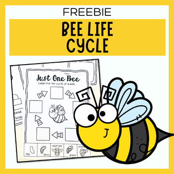 Preview of Bee Life Cycle | Worksheet From Just One Bee Book Companion | Book Week 2022