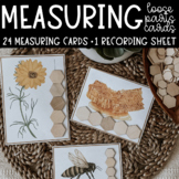 Bee Measuring Loose Part Cards Math Center Activity Kinder