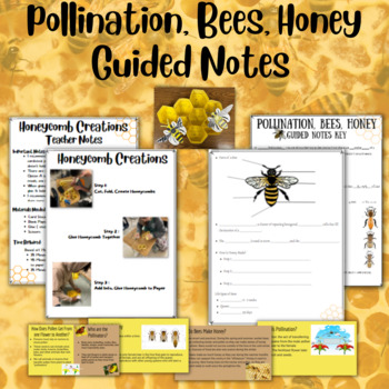 Preview of Bee Notes and Honeycomb Creation Project Bundle