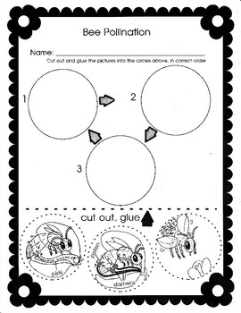Bee Pollination (2-LS2-2) by Biology Buff | Teachers Pay ...