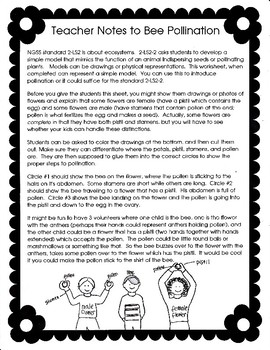 Bee Pollination (2-LS2-2) by Biology Buff | Teachers Pay Teachers