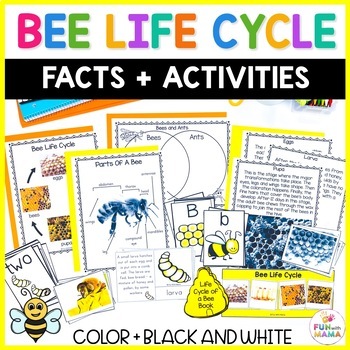 Bee Theme Bee Life Cycle + Insect Science by Fun With Mama | TpT