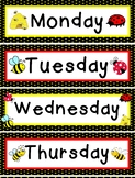 Bee Theme Days of the Week EDITABLE