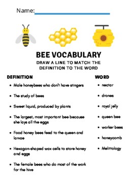 bee vocabulary worksheet by redbarnschoolhouse tpt