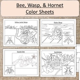 Bee, Wasp, And Hornet Color Sheets Summer Spring
