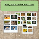 Bee, Wasp, and Hornet Cards  Montessori Homeschooling Pres