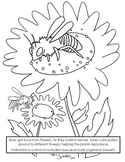 Bee and Flower Pollinator Coloring Page