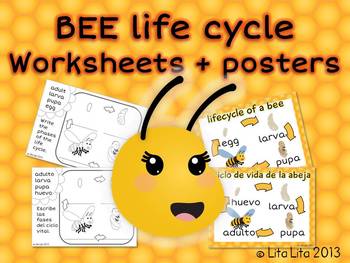 Preview of Bee life cycle FREEBIE