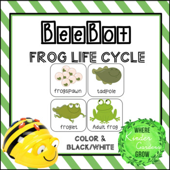 Preview of BeeBot: Frog Life Cycle