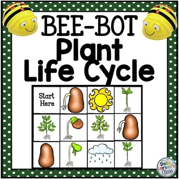 Preview of BeeBot Mat Life Cycle of the Plant