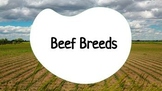 Beef Breeds Lesson Slides