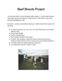 Beef Breeds Project & Rubric