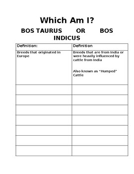 Preview of Beef Cattle Bos Taurus vs Indicus Worksheet