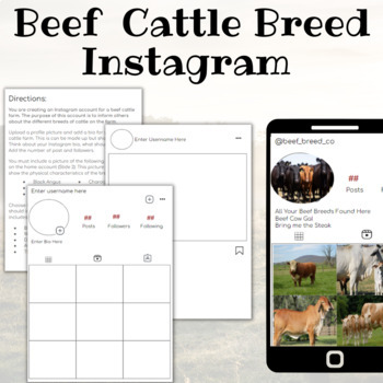 Preview of Beef Cattle Breed Instagram