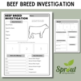Beef Cattle Breed Investigation Worksheet