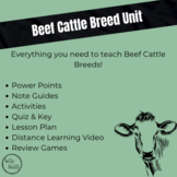 Beef Cattle Breeds Unit