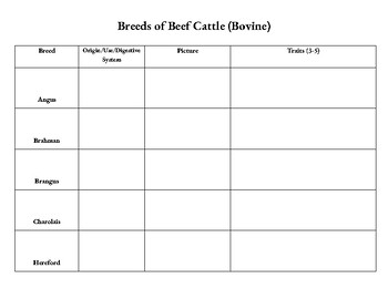Preview of Beef Cattle Breeds Chart