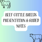 Beef Cattle Breeds Presentation & Guided Notes