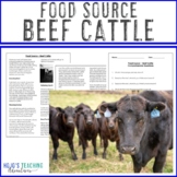 Beef Cattle: Informational Text | Farm to Table | Where do