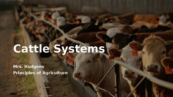 Preview of Beef Cattle Intro Notes Slides