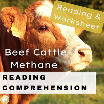 Preview of Methane and Beef Cattle Industry Reading Passage and Comprehension Worksheet Set