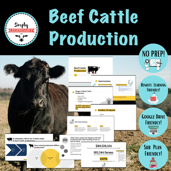 Preview of Beef Cattle Production- Animal Science No-Prep!