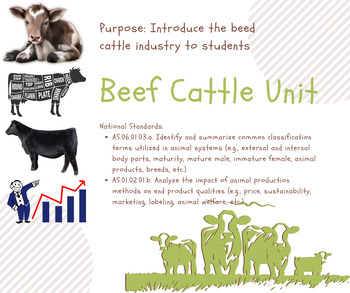 Preview of Beef Cattle Unit