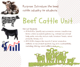 Beef Cattle Unit