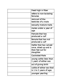 Preview of Beef Cattle Vocabular Notes