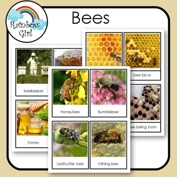 Preview of Bees