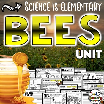 Preview of Bees Activities Unit with Honey Bee Lifecycle of a Bee Beekeepers and MORE