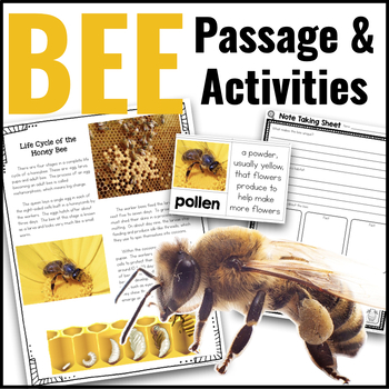 Preview of Bees Life Cycle Animal Research Nonfiction Reading Passage & Comprehension