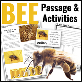 Bees Life Cycle Animal Research Nonfiction Reading Passage