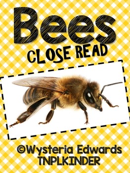 Preview of Bees: Close Read