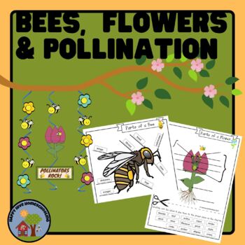 Preview of Bees, Flowers and Pollination - Diagrams Worksheets