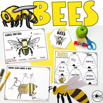 Bees Informational Read Aloud - Spring Non Fiction Reading Comprehension