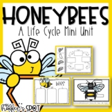 Bees Life Cycle