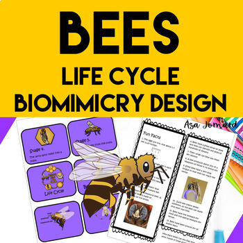 Preview of Bee Project | Life Cycle | Biomimicry Design Activities | Nonfiction | STEAM