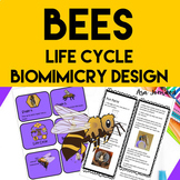 Bee Project | Life Cycle | Biomimicry Design Activities | 