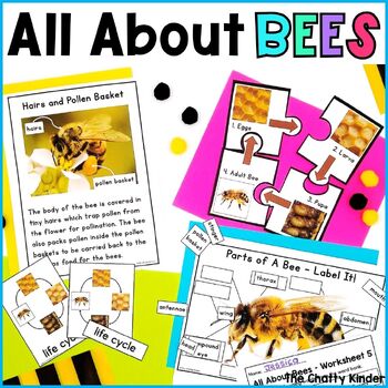 Preview of All About Bees - Bees Non Fiction Insect Animal Unit - Kindergarten 1st and 2nd