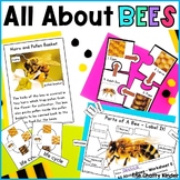 All About Bees - Bees Non Fiction Insect Animal Unit - Kin
