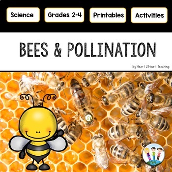 Preview of All About Bees and Pollination & Life Cycle of a Bee Activities Craft & Passages
