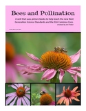 Bees and Pollination- 2nd grade NGSS (aligns to 2-LS2-2) a