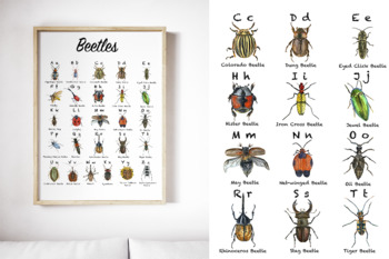 Preview of Beetles ABC Poster