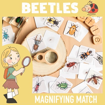Preview of Beetles Study Activity Magnifying Glass Matching Game / Bugs Flash Cards