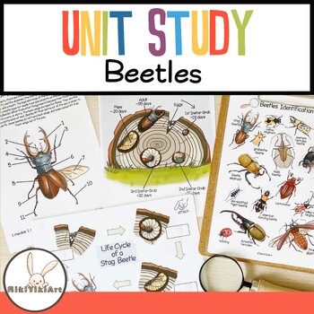 Beetles Unit Study Nature Learning Resources Charlotte Mason Life Cycle ...