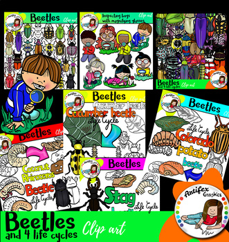 Preview of Beetles and bugs and 4 life cycles clip art- 117 images!!