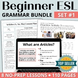 Beginner Adult ESL English Grammar Worksheets & Activities