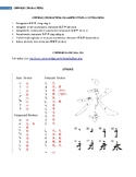 Beginner Chinese Worksheet - Stroke Order/Numbers/Easy to 