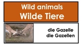 Beginner German - Animals - Flashcards